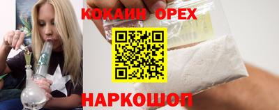 apvp Свободный