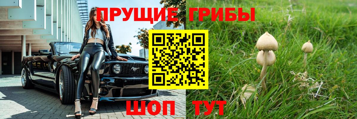 наркота  Вход с VPN  Серов  Псилоцибиновые грибы прущие грибы 